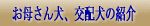 ���ꂳ�񌢁E��z���̏Љ�