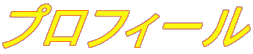 �v���t�B�[��