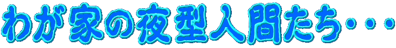 �킪�Ƃ̖�^�l�Ԃ����E�E�E