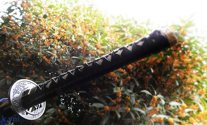 �R�W�ؒ��`�@��������