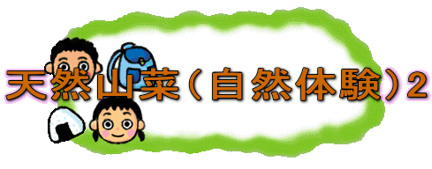 �V�R�R�؁i���R�̌��j2
