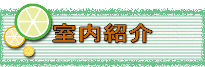 �����Љ�
