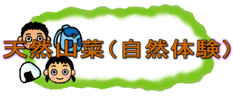 �V�R�R�؁i���R�̌��j
